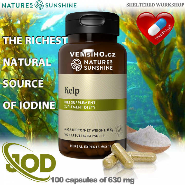 Nature's Sunshine KELP | Hnědá mořská řasa | PŘÍRODNÍ ZDROJ JÓDU | 100 kapslí po 630 mg ❤ VEMsiHO.cz ❤ 100% Přírodní doplňky stravy, kosmetika, esenciální oleje