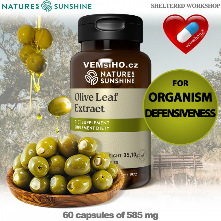 Nature's Sunshine OLIVE LEAF EXTRACT | Extrakt z olivových listov | ODOLNOSŤ ORGANIZMU | 60 kapsúl po 585 mg ❤ VEMsiHO.cz ❤ 100% Prírodné doplnky stravy, kozmetika, esenciálne oleje