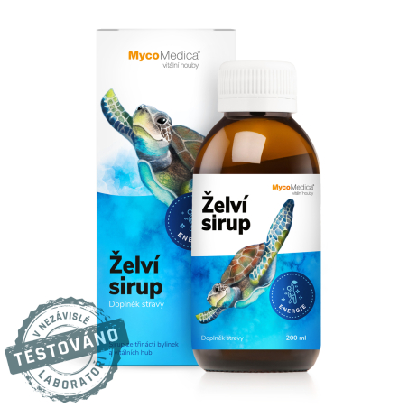 MycoMedica Turtle Syrup | STRENGTHENING VITAL ENERGY | 200 ml