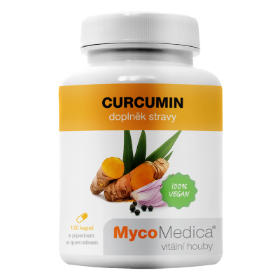 MycoMedica Curcumin | REMOVAL OF DAMP HEAT FROM THE BODY | 90 capsules