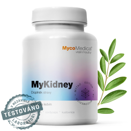 MycoMedica MyKidney | ≥30/x/x % | KIDNEY + URINARY SYSTEM SUPPORT | 90 capsules