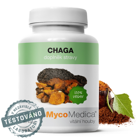 MycoMedica CHAGA | Chaga Mushroom | Inonotus obliquus | ≥30/✓/4 % | 90 capsules