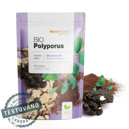 MycoMedica BIO POLYPORUS | Umbrella Polypore | Grifola umbellata | Polyporus umbellatus | powder 100 g