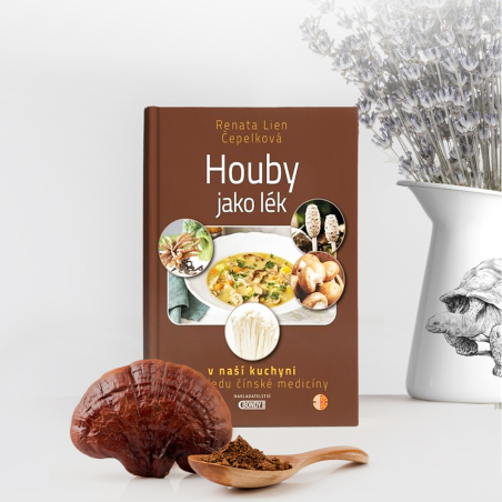 MycoMedica Mushrooms as Medicine | Renata Lien Čepelková | book