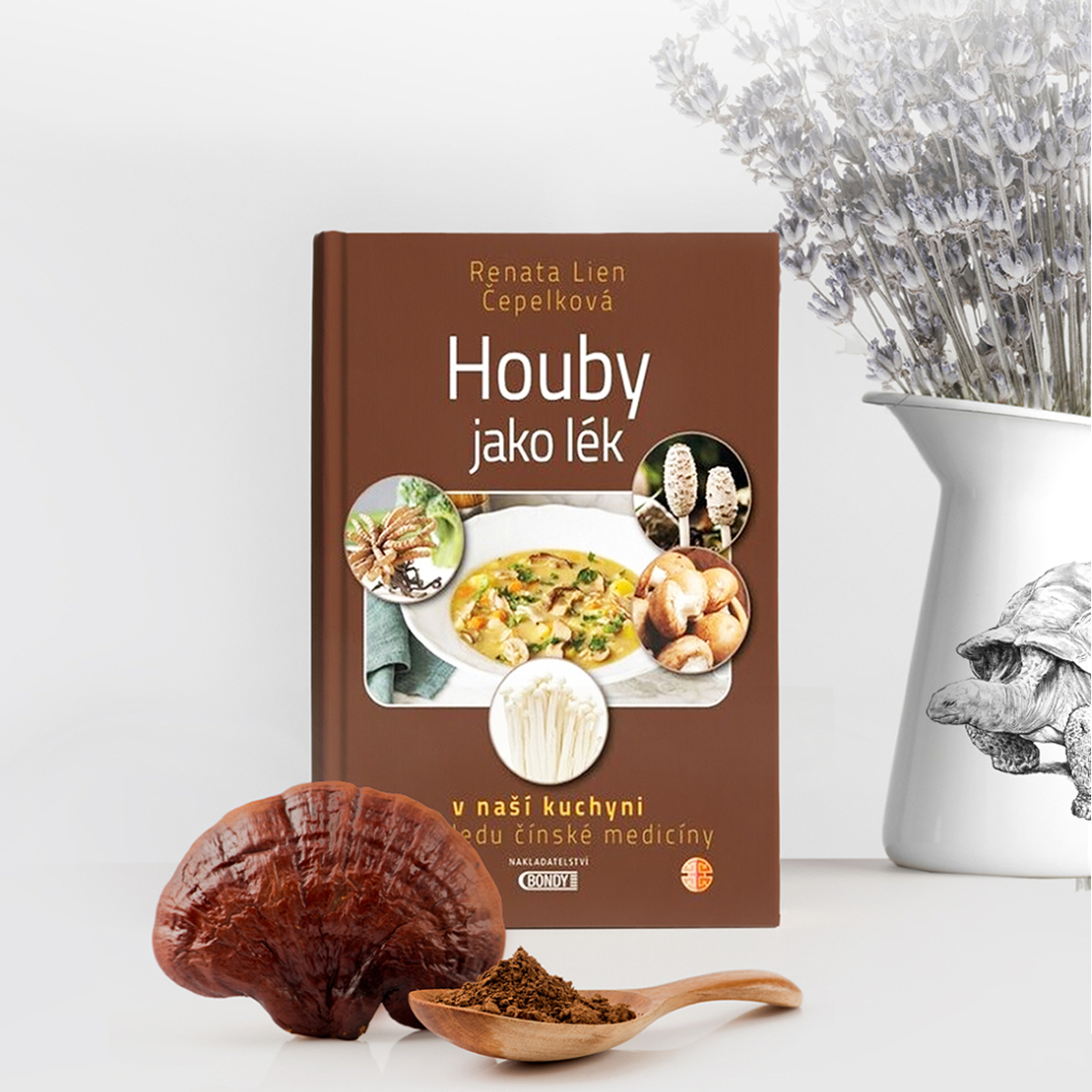 MycoMedica Mushrooms as Medicine | Renata Lien Čepelková | book