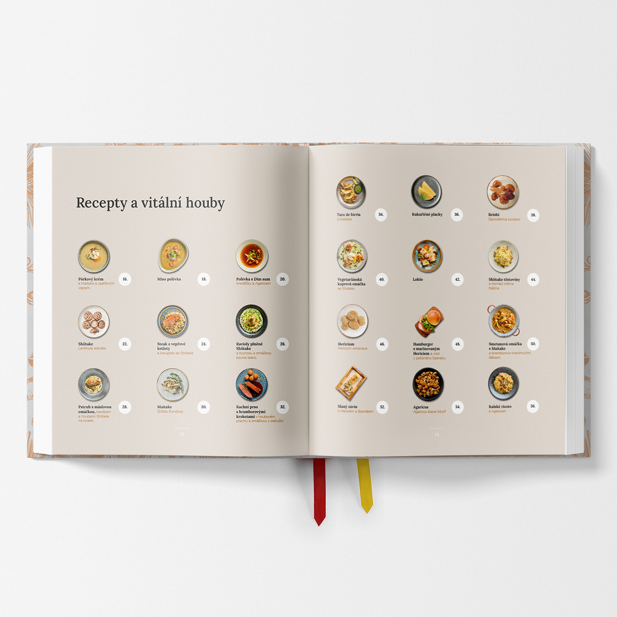 MycoMedica Vital Mushrooms on the Plate | Milan Schirlo + Josef Javier Alvarez + Maxim Krejčí | book