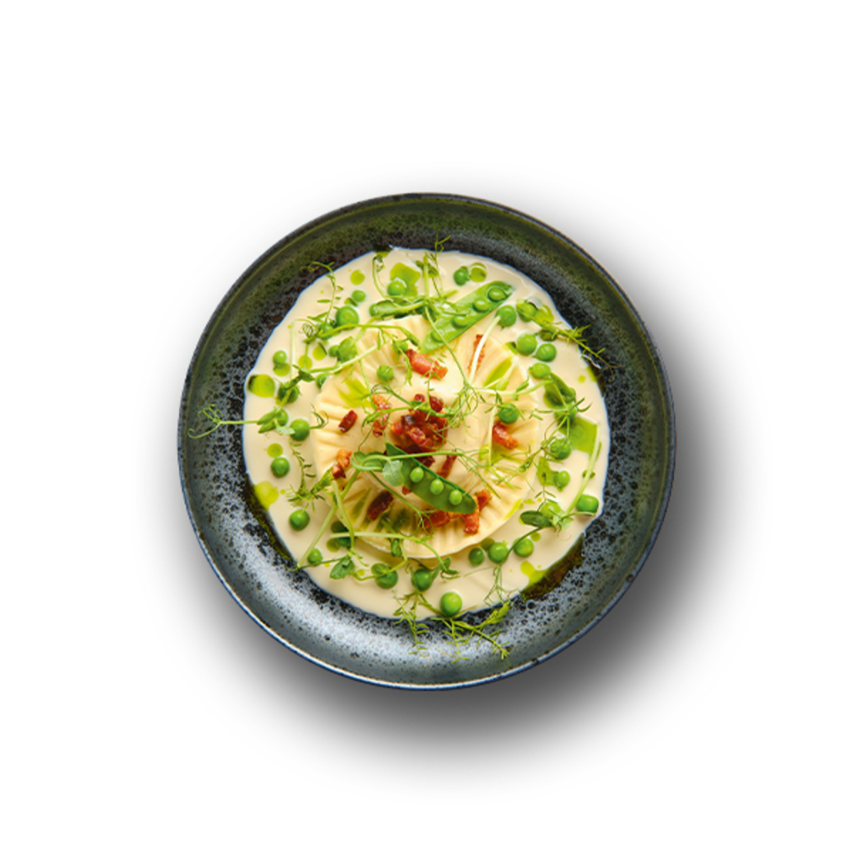 MycoMedica Vital Mushrooms on the Plate | Milan Schirlo + Josef Javier Alvarez + Maxim Krejčí | book