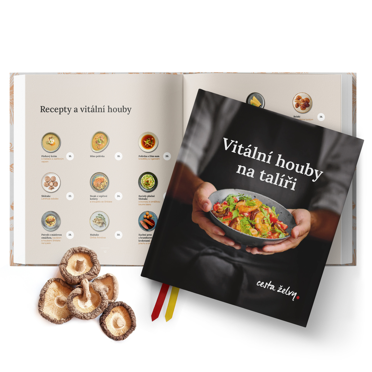 MycoMedica Vitální houby na talíři | Milan Schirlo + Josef Javier Alvarez + Maxim Krejčí | kniha