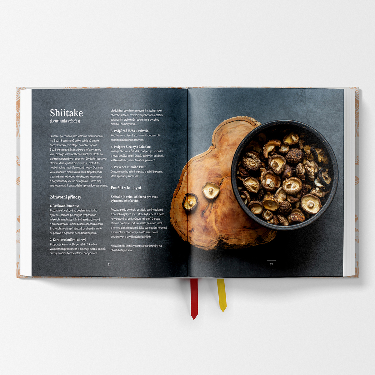 MycoMedica Vital Mushrooms on the Plate | Milan Schirlo + Josef Javier Alvarez + Maxim Krejčí | book