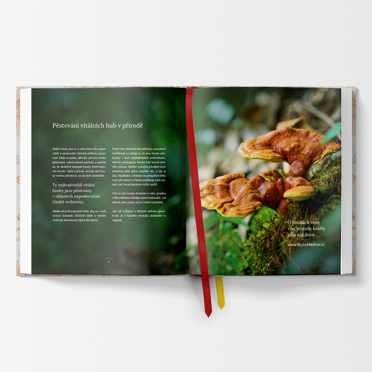 MycoMedica Vital Mushrooms on the Plate | Milan Schirlo + Josef Javier Alvarez + Maxim Krejčí | book