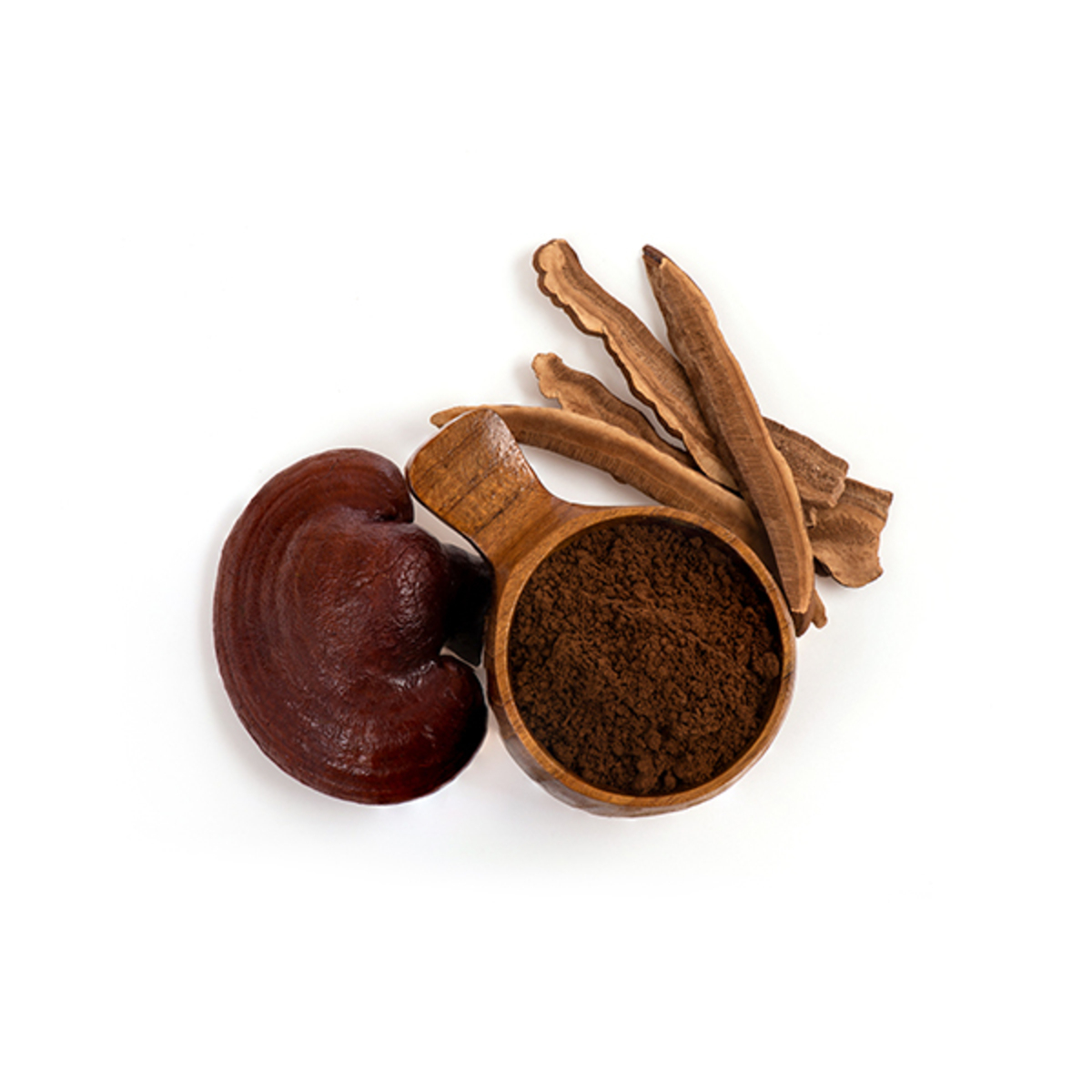 MycoMedica Healing Mushrooms - A Practical Guide | Christopher Hobbs | book