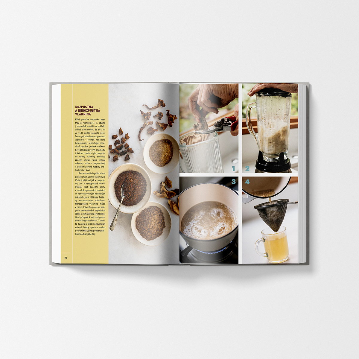 MycoMedica Healing Mushrooms - A Practical Guide | Christopher Hobbs | book