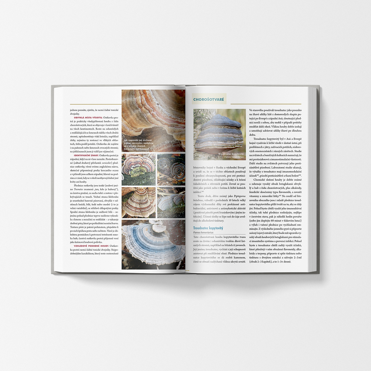 MycoMedica Healing Mushrooms - A Practical Guide | Christopher Hobbs | book