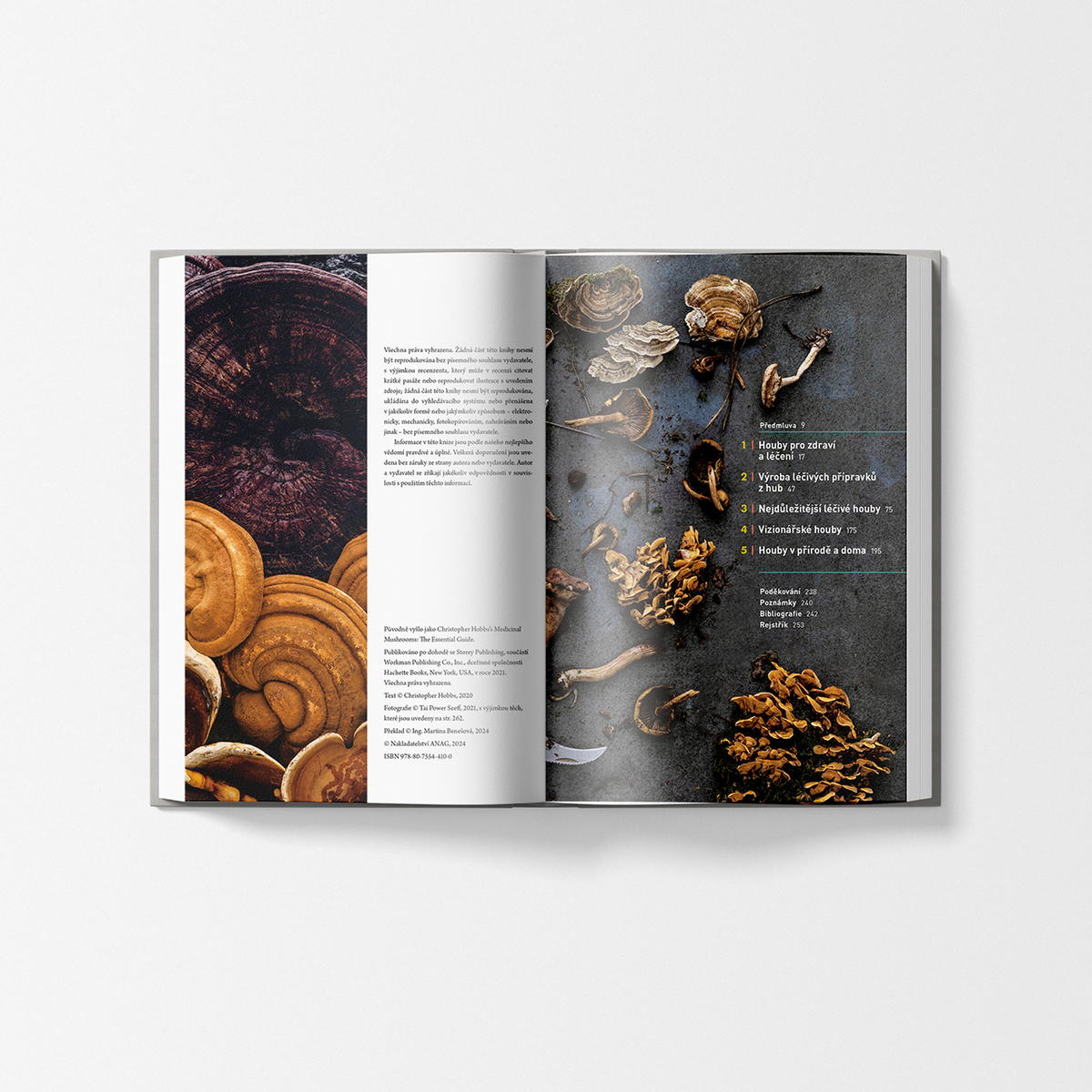 MycoMedica Healing Mushrooms - A Practical Guide | Christopher Hobbs | book