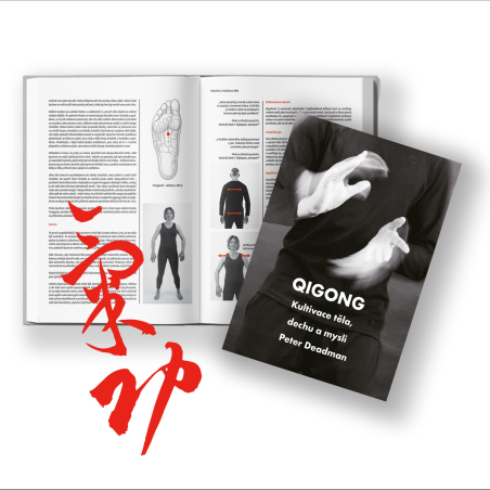 MycoMedica Qigong | Peter Deadman | book