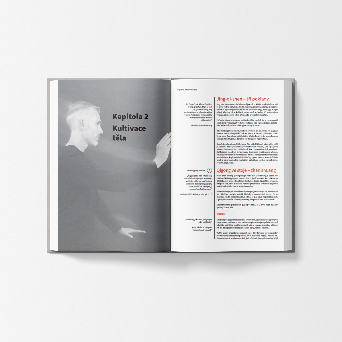 MycoMedica Qigong | Peter Deadman | kniha