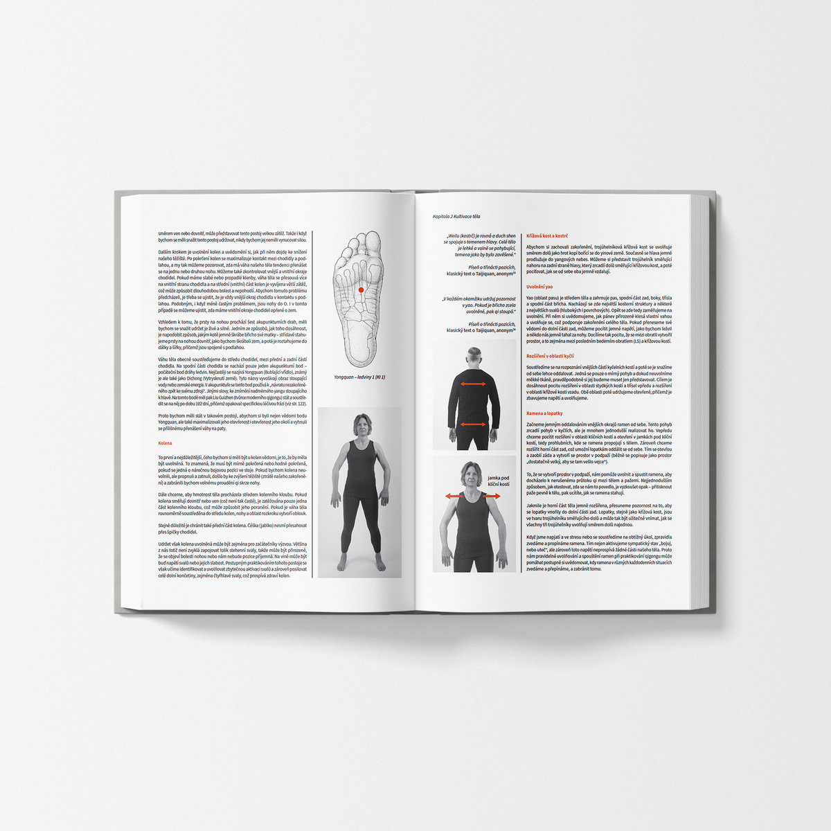 MycoMedica Qigong | Peter Deadman | book