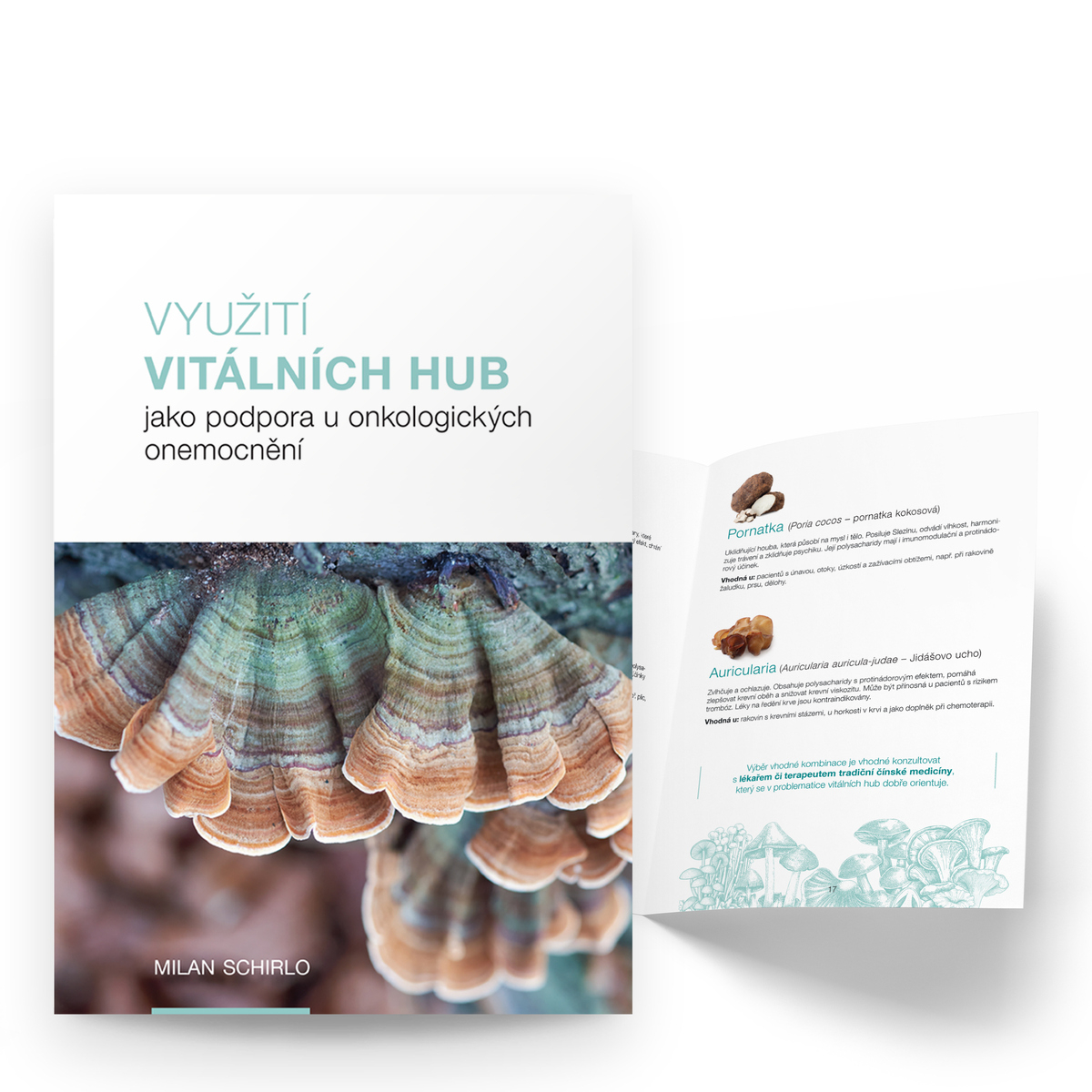 MycoMedica Use of Vital Mushrooms as Support in Oncological Diseases | Milan Schirlo | book