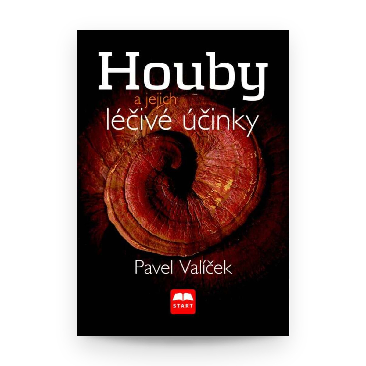 MycoMedica Houby a jejich léčivé účinky | Pavel Vašíček | kniha