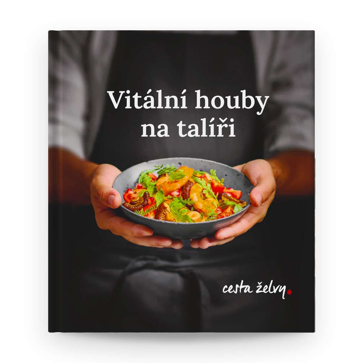 MycoMedica Vitální houby na talíři | Milan Schirlo + Josef Javier Alvarez + Maxim Krejčí | kniha