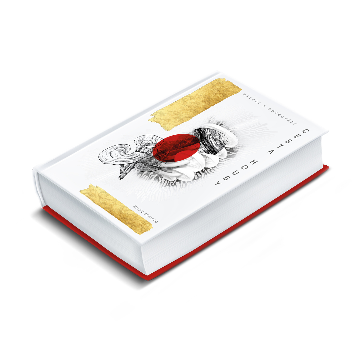 MycoMedica The Path of the Mushroom: Return to Balance | Milan Schirlo | book