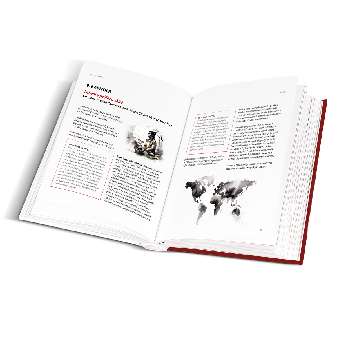 MycoMedica The Path of the Mushroom: Return to Balance | Milan Schirlo | book