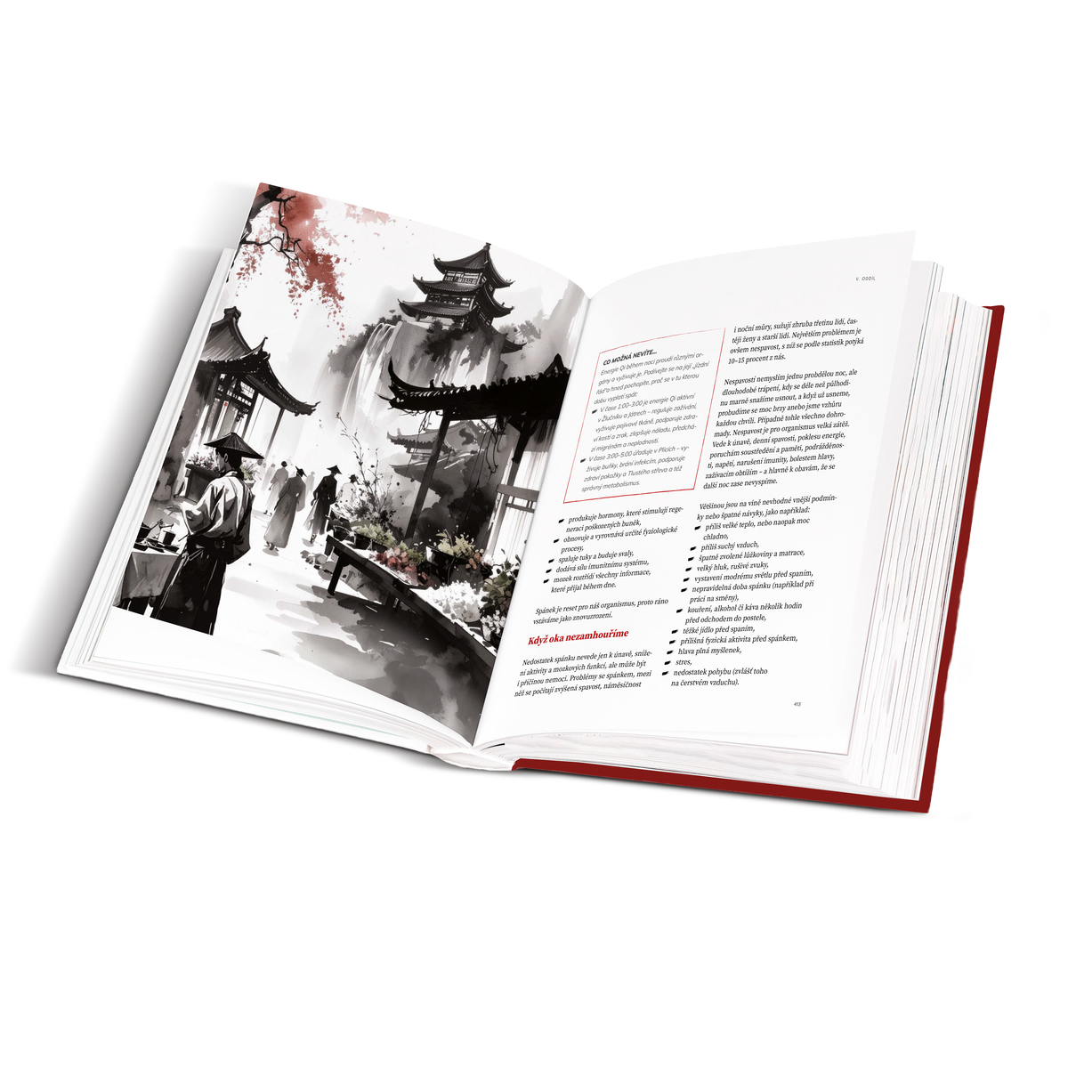 MycoMedica The Path of the Mushroom: Return to Balance | Milan Schirlo | book