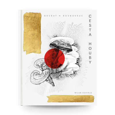 MycoMedica The Path of the Mushroom: Return to Balance | Milan Schirlo | book