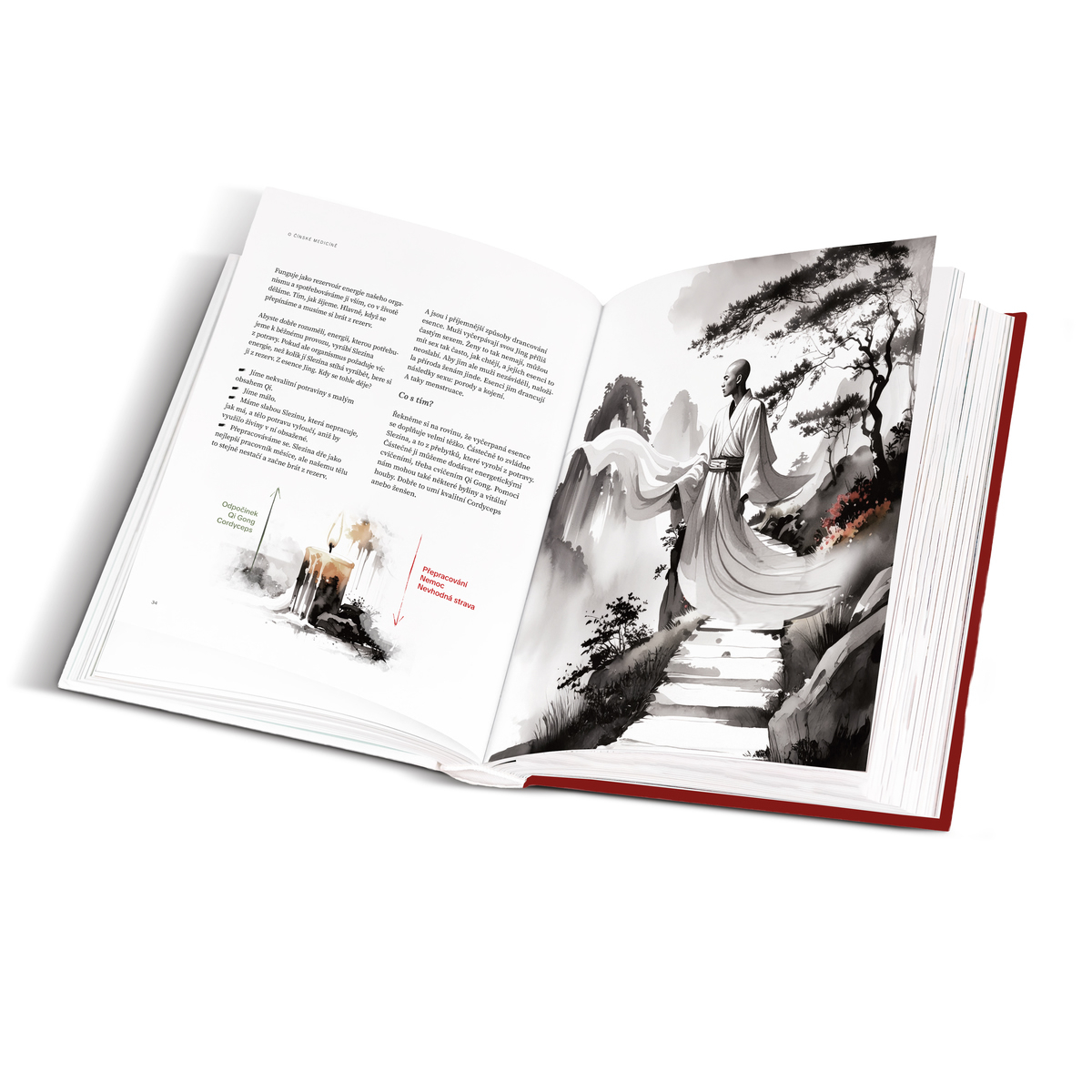 MycoMedica The Path of the Mushroom: Return to Balance | Milan Schirlo | book