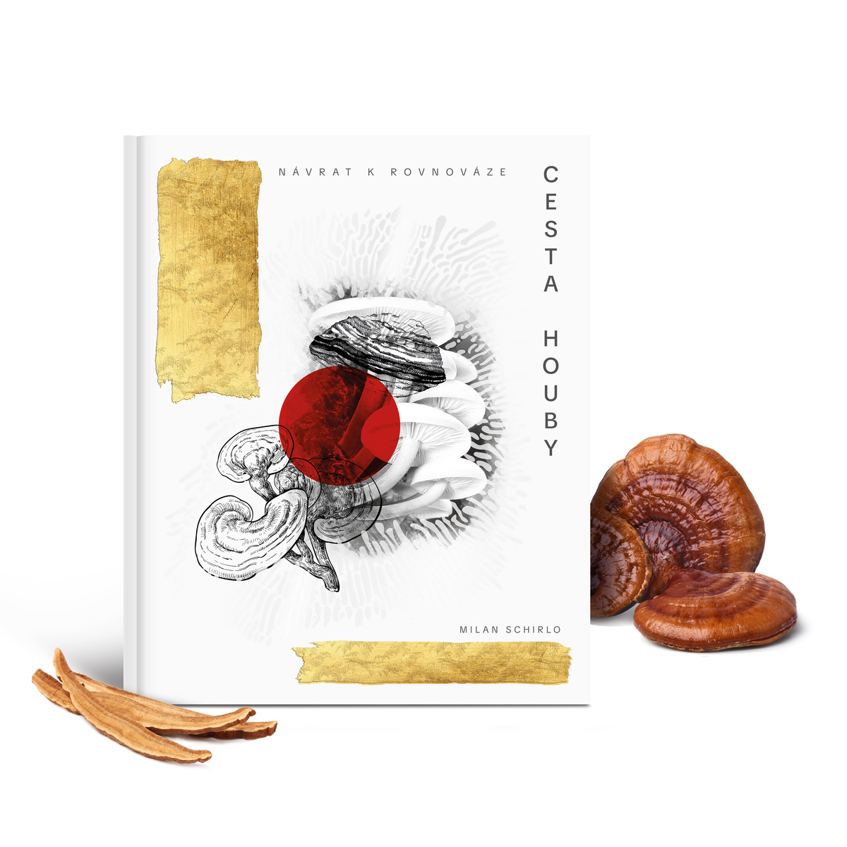 MycoMedica The Path of the Mushroom: Return to Balance | Milan Schirlo | book