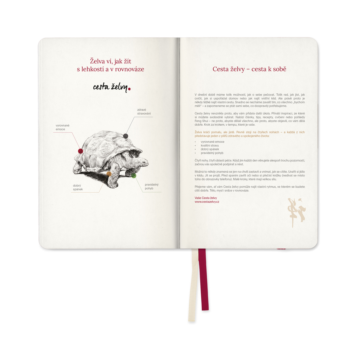 MycoMedica Diary The Turtle Path