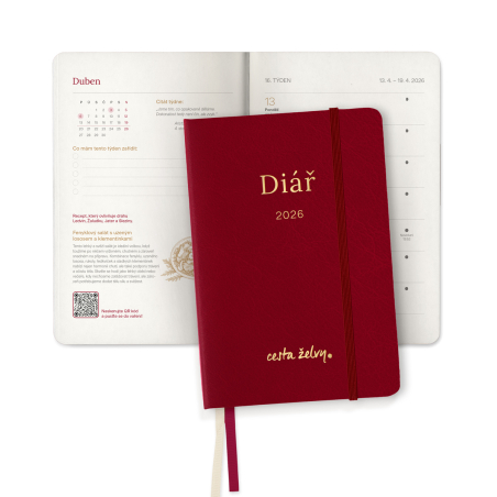 MycoMedica Diary The Turtle Path