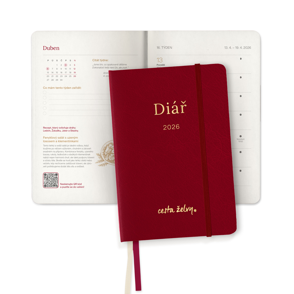 MycoMedica Diary The Turtle Path