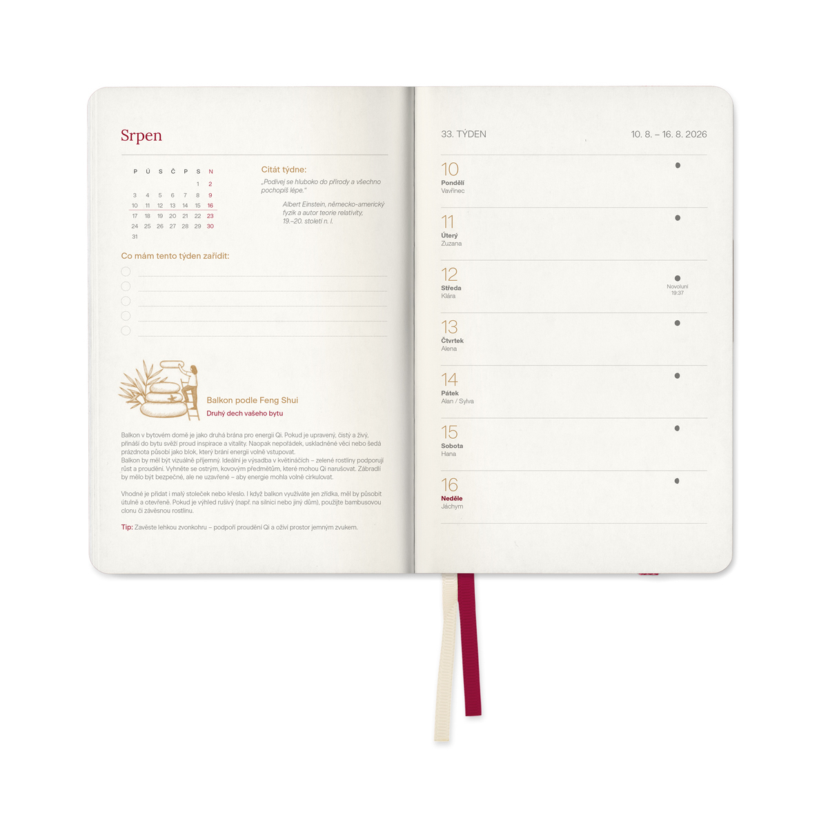 MycoMedica Diary The Turtle Path