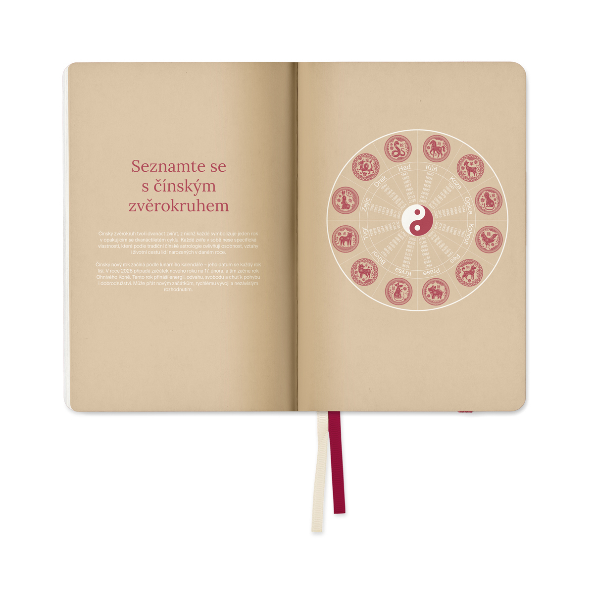 MycoMedica Diary The Turtle Path