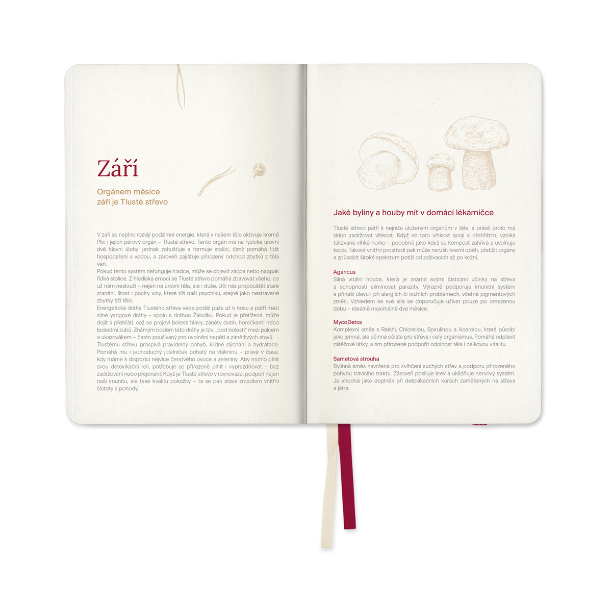 MycoMedica Diář Cesta Želvy