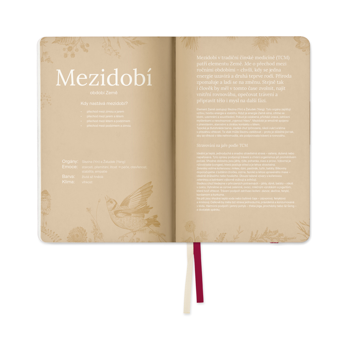 MycoMedica Diář Cesta Želvy