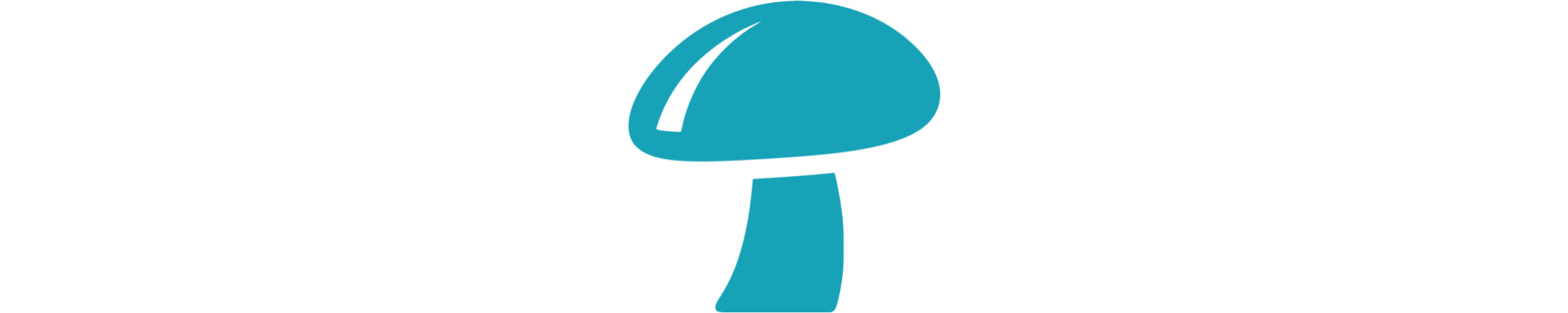 Hlíva ústřičná (Pleurotus ostreatus)