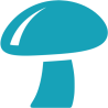 Antrodia (Camphor mushroom)