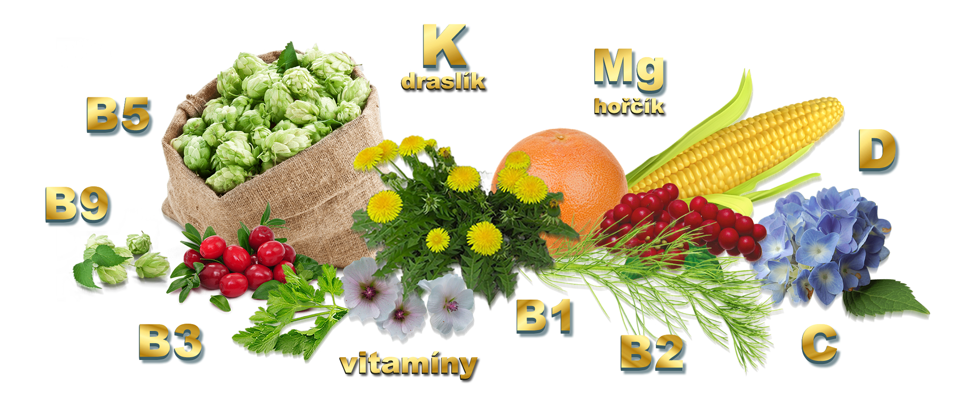Ury Nature's Sunshine® USA ❤ VEMsiHO.cz ❤ CHRÁNĚNÁ DÍLNA